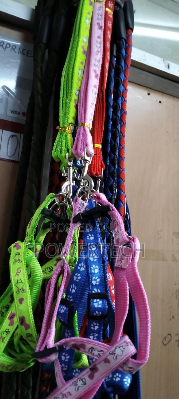 Dog Leash ,Dog Leash - main view