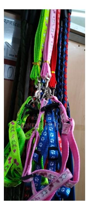 Chiwawa, Chiwawa Dog Leash - thumbnail 2