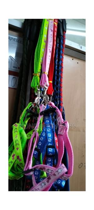 Chiwawa Dog Leash With Harness - thumbnail 2