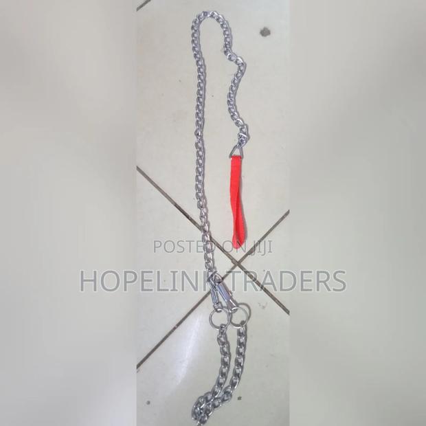 Dog Chain,Dog Chain - main view
