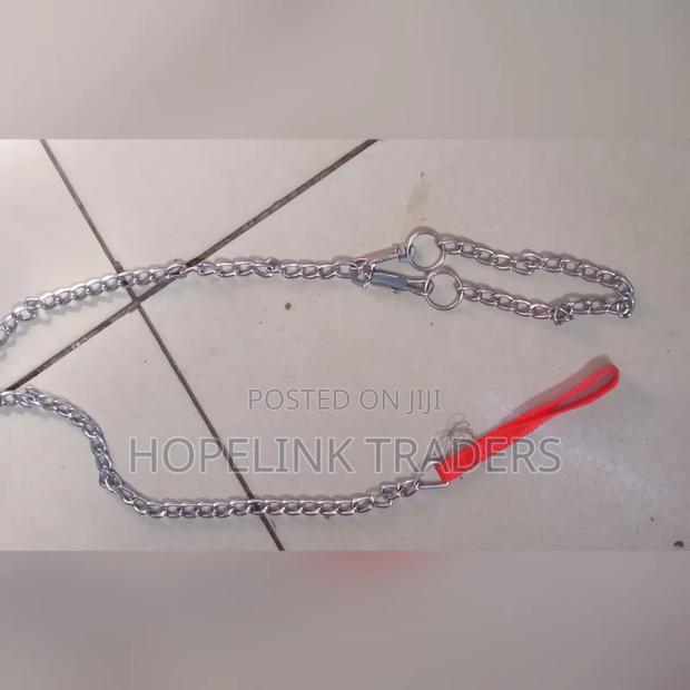 Dog Chain, Dog Chain - main view