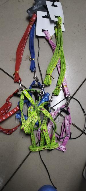 Small Dog Leash/Cat Leash - main view