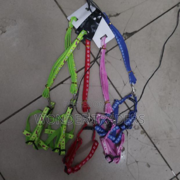 Chiwawa Dog Leash/ Puppy Dog Leash