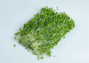 Organic Peashoots Microgreens – 50g - main view