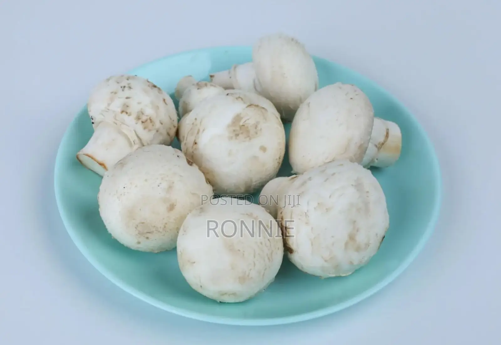 White Button Mushrooms – 250g