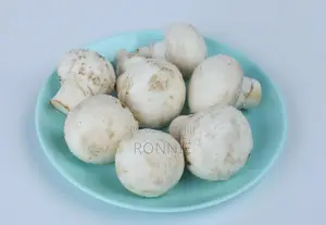 White Button Mushrooms – 250g