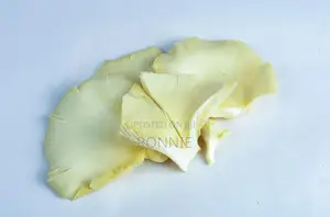 Organic Oyster Mushrooms – 250g