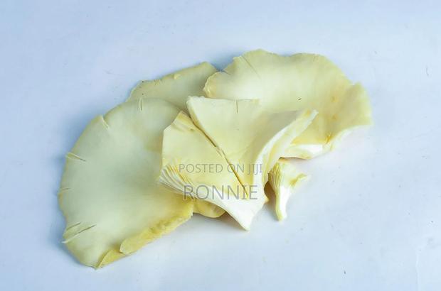 Organic Oyster Mushrooms – 250g