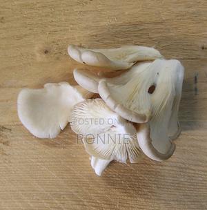 Fresh White Oyster Mushrooms - main view