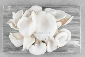 Fresh White Oyster Mushrooms
