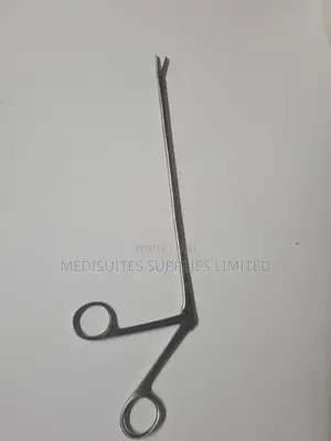 Large Crodile Forceps ( Stainless Steel)