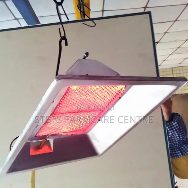 Chicks Brooding Gas Element/Burner