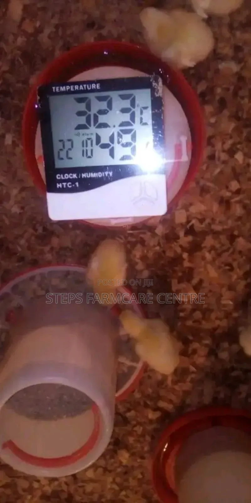 Digital HTC 1 Brooding Thermometer