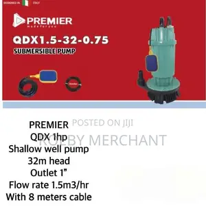 Premier 1HP 32M Lift Electric Submersible Water Pump 1 Inche