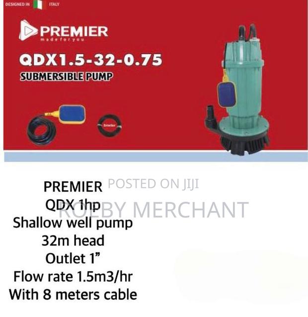 Premier 1HP 32M Lift Electric Submersible Water Pump 1 Inche