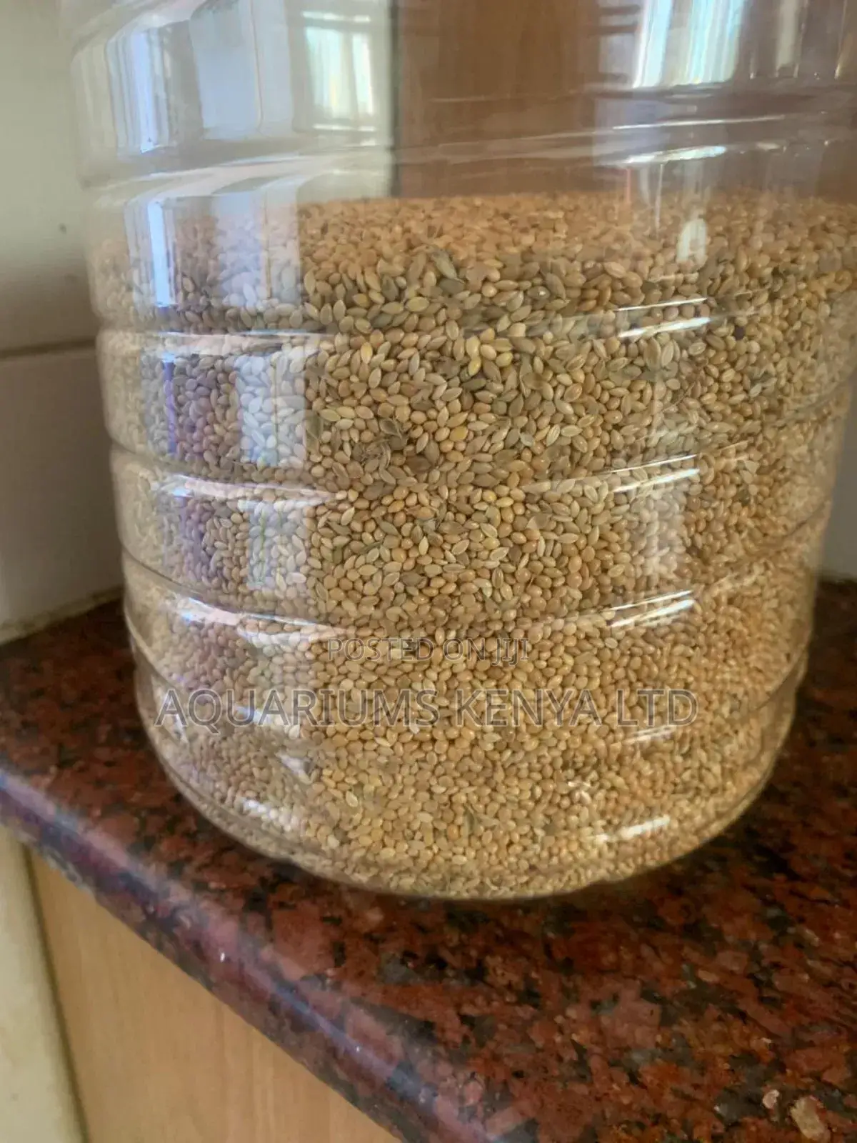 Budgies Food Fox Millet