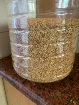 Budgies Food Fox Millet
