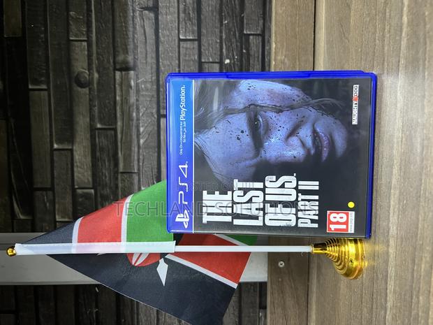 Last of Us 2 - main view