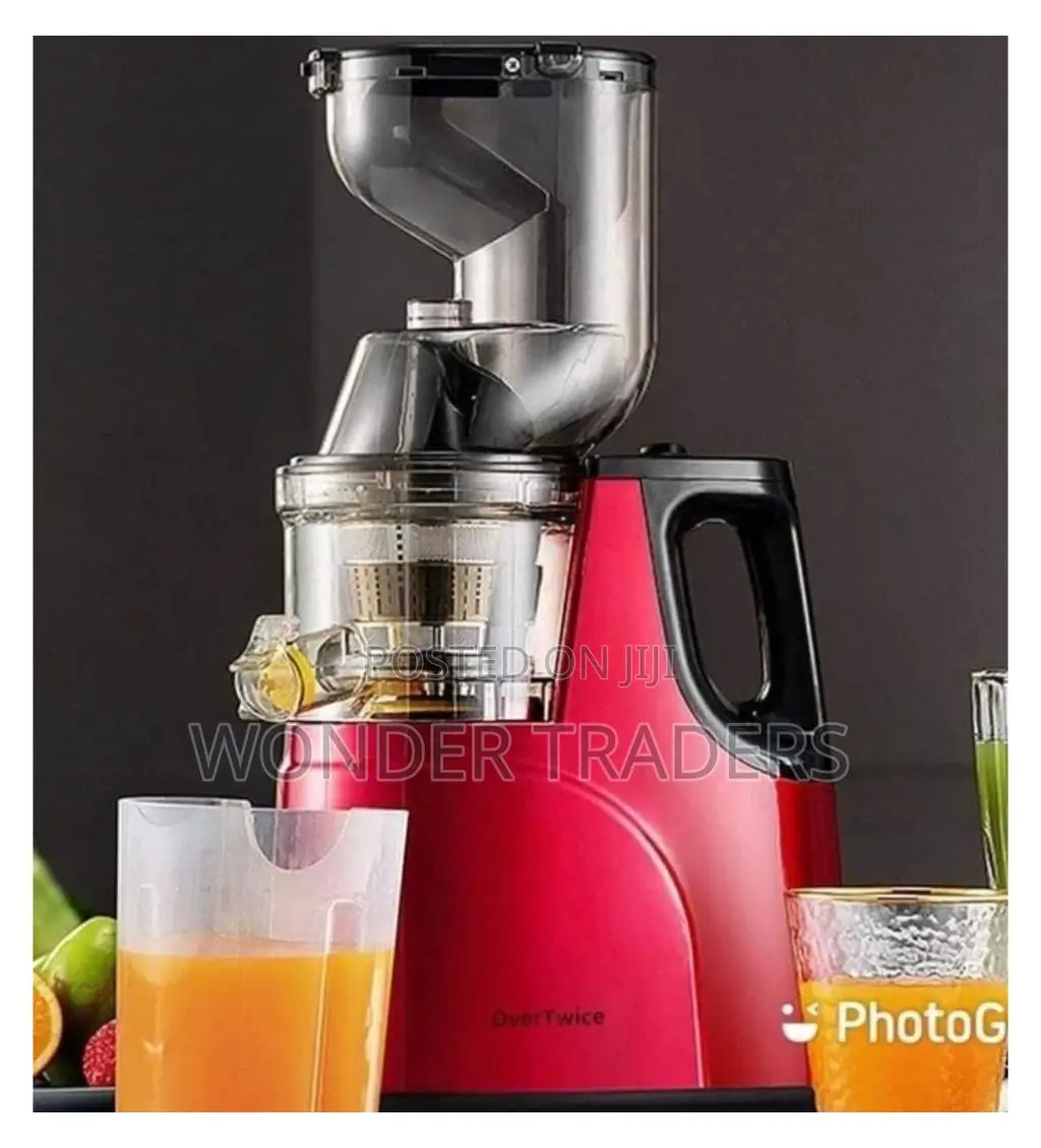 Commercial Raf Slow Juicer