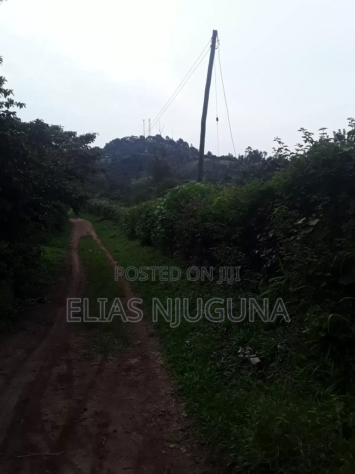 Nyeri Mukurweini 2acres, for Sale.