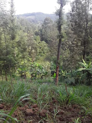 Nyeri Mukurweini 2acres, for Sale.