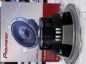 Champion Series Pioneer Ts-308d4 Car Subwoofer Double Coil
