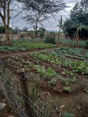 2.5 Acres Naivasha Moi Ndabi, Kongoni Avail Water Electricty