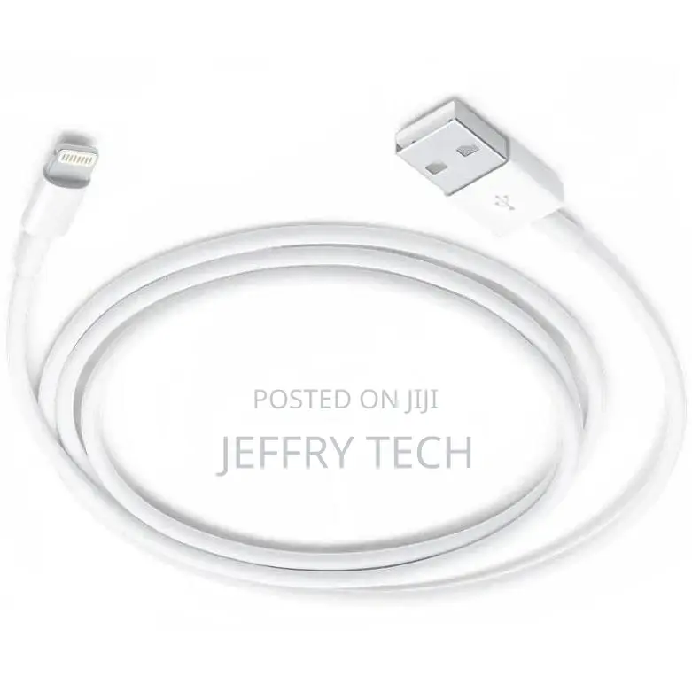 iPhone 6 Charger Cable