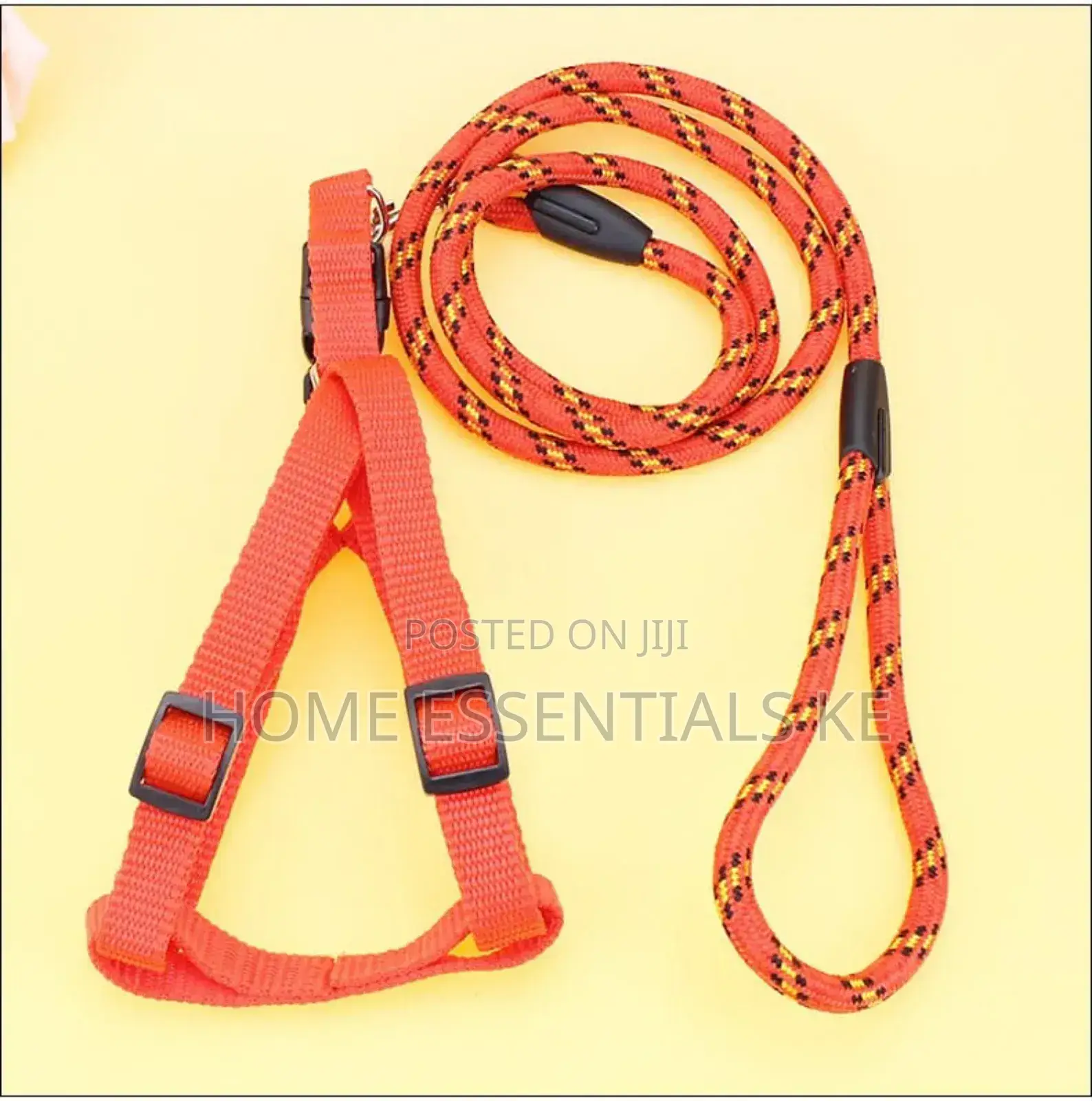 *Dog Leash / Harness With Collar* Beautiful and Classy