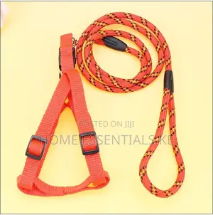 *Dog Leash / Harness With Collar* Beautiful and Classy