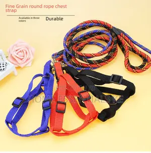 *Dog Leash / Harness With Collar* Beautiful and Classy