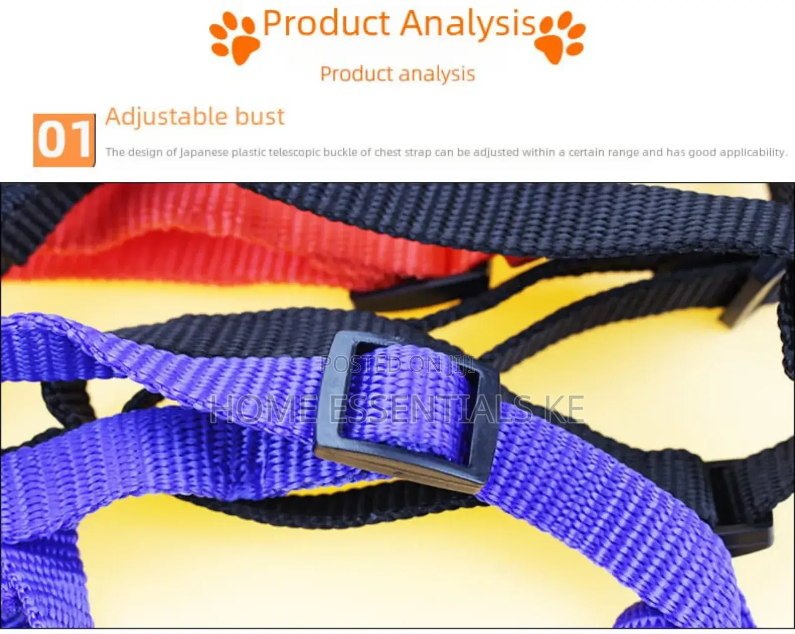 *Dog Leash / Harness With Collar* Beautiful and Classy