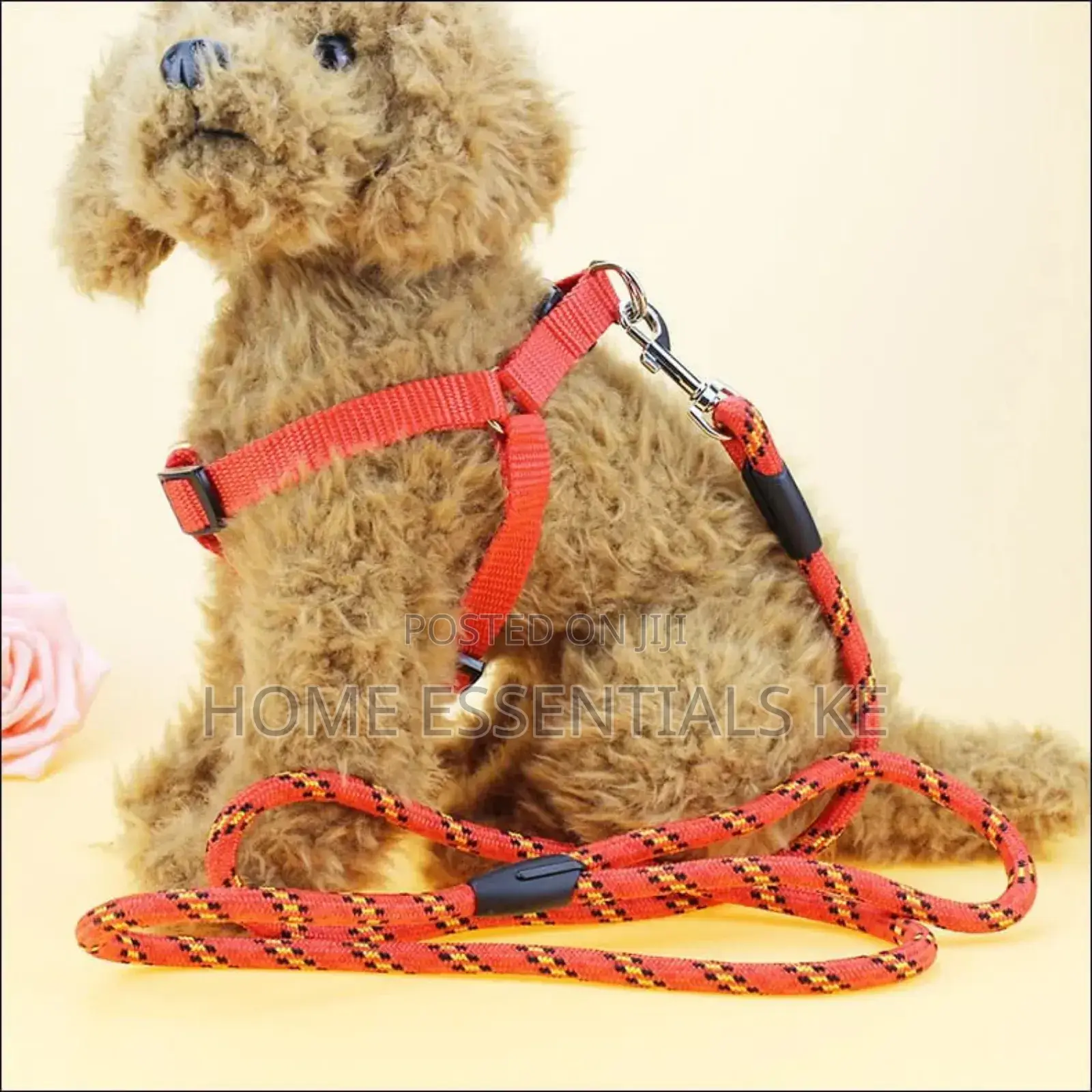 *Dog Leash / Harness With Collar* Beautiful and Classy