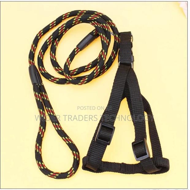 Dog Leash / Harness With Collar - main view