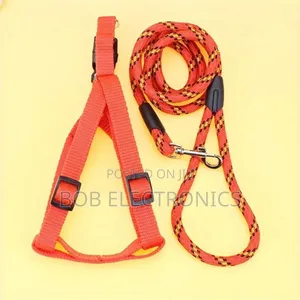 Stylish  Dog Leash With a Collar