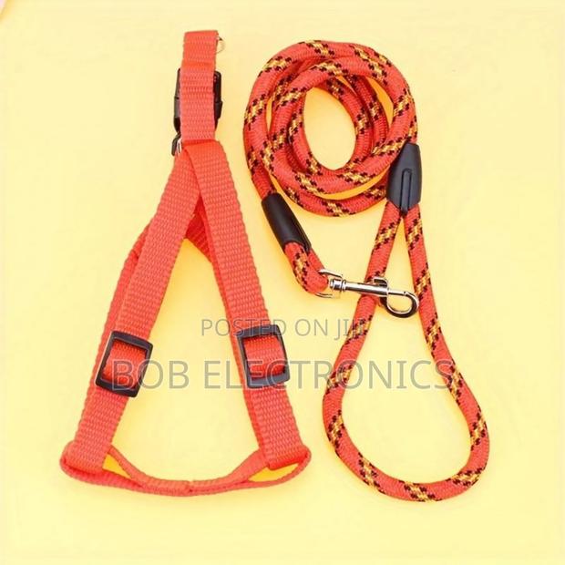 Stylish  Dog Leash With a Collar - thumbnail 3