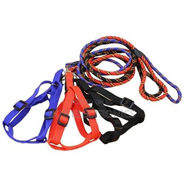 Stylish  Dog Leash With a Collar - thumbnail 4