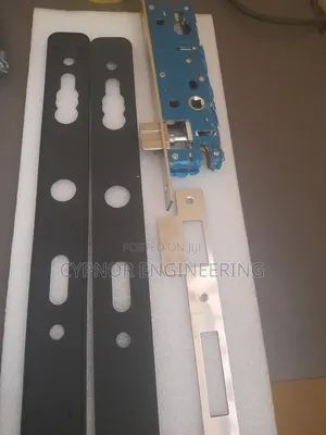 Remote Access Door Lock