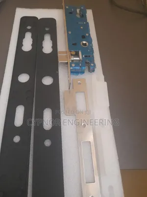 Remote Access Door Lock