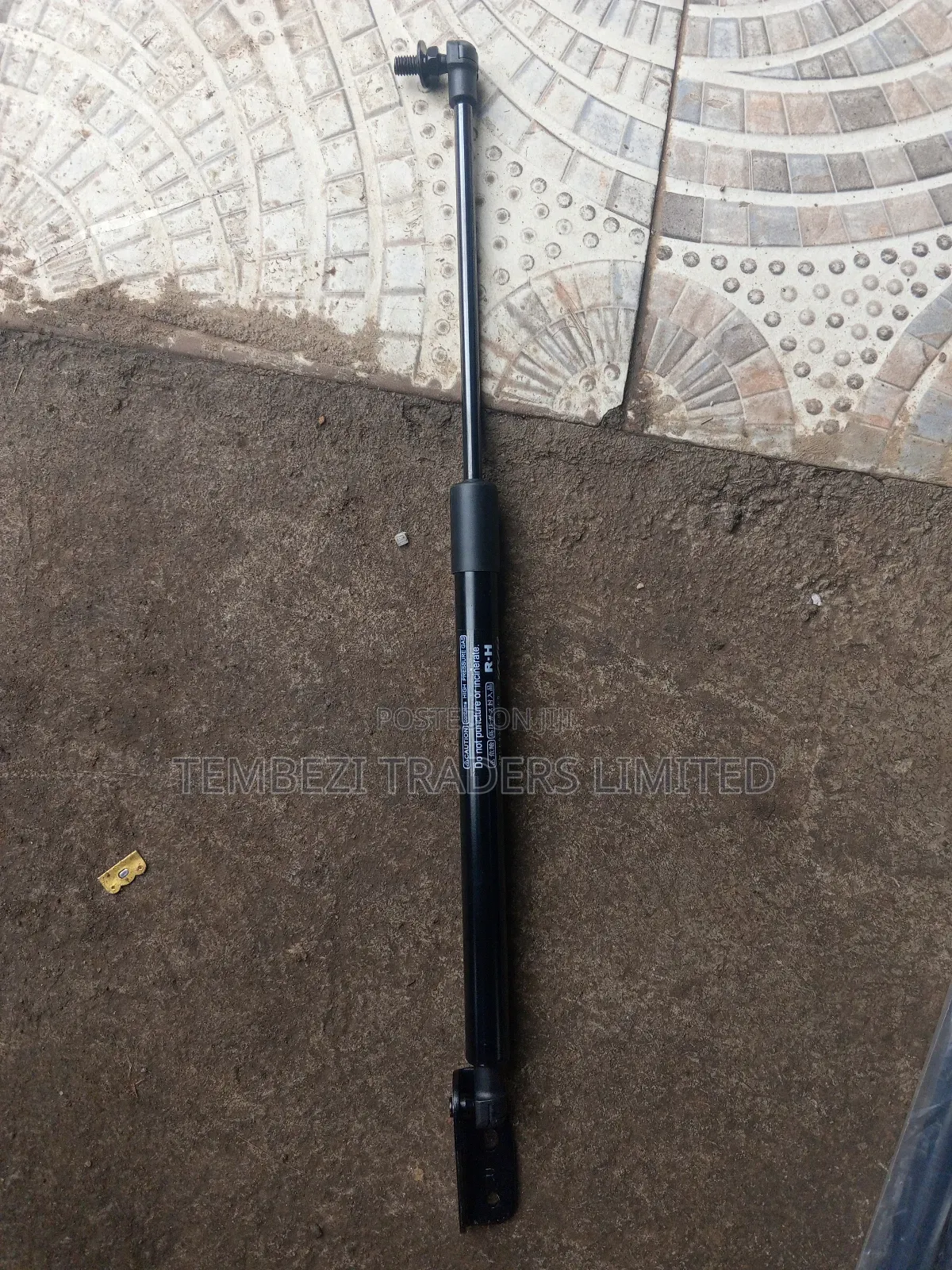 Boot Shock Toyota Wish