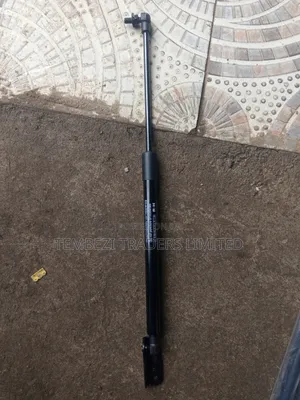 Boot Shock Toyota Wish