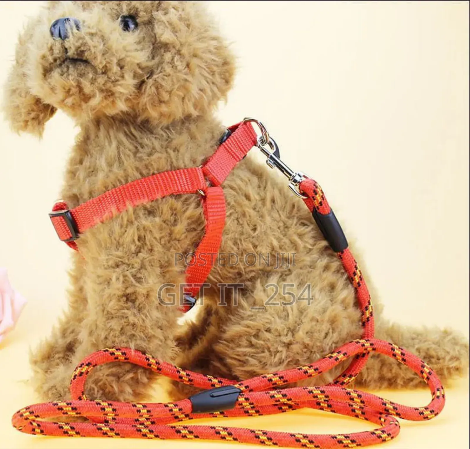 *Dog Leash / Harness With Collar*
Om