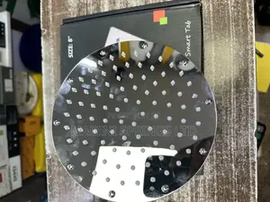 Stainless Steel Shower Head(With Silicone Nozzles, Antirust)
