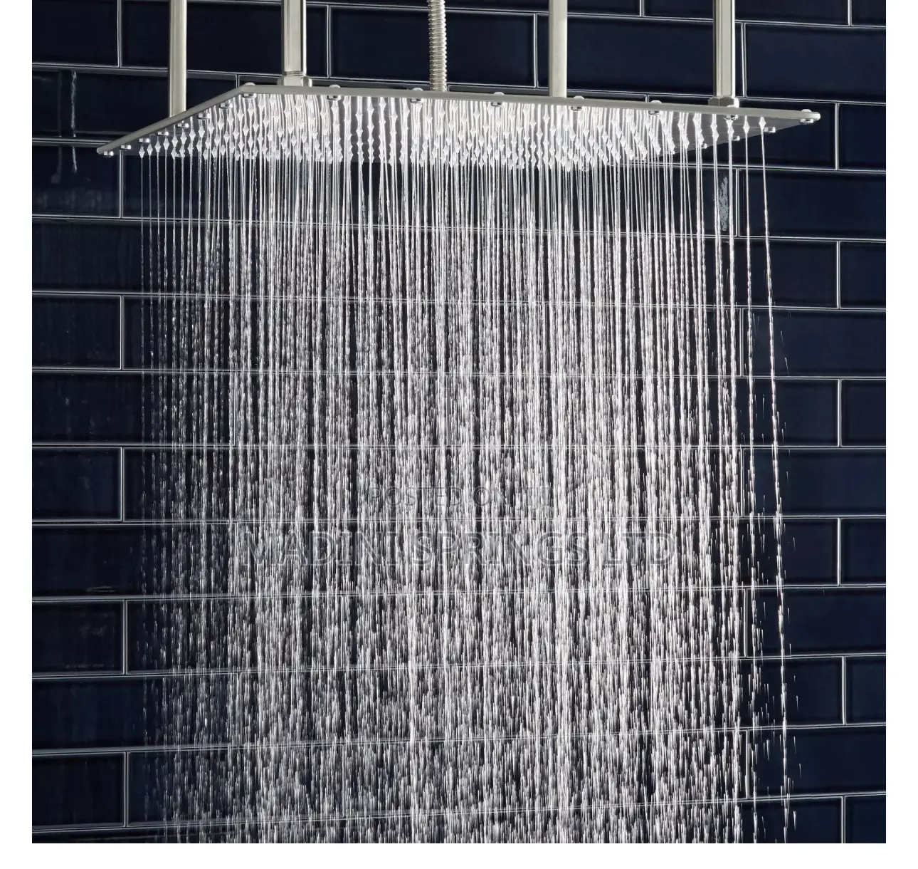 Stainless Steel Shower Head(With Silicone Nozzles, Antirust)