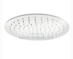 Stainless Steel Shower Head(With Silicone Nozzles, Antirust)