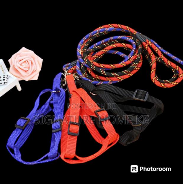 Dog Leash/Harness With Collar - thumbnail 3