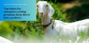 Goat Milk 1L Packed and Well Sealed - main view