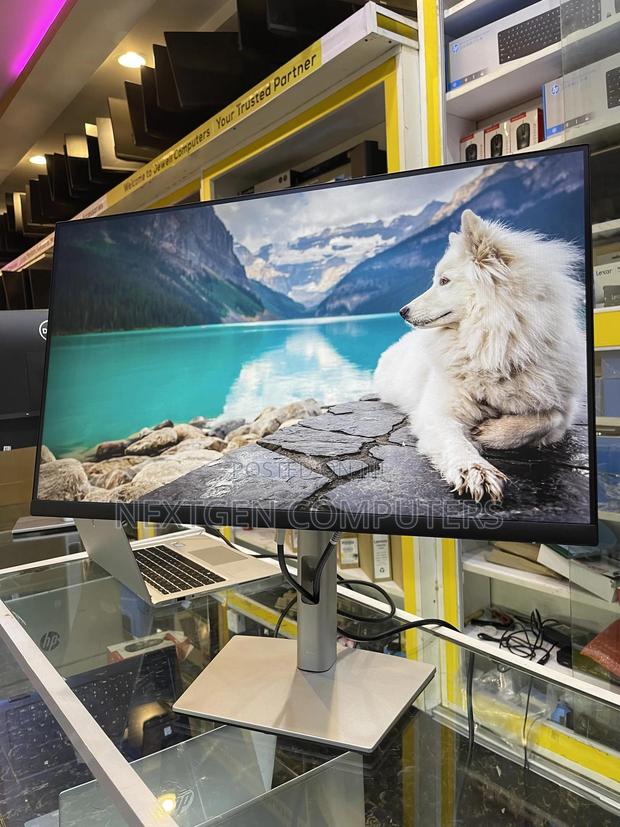 Dell P2422H 24 Inch IPS FHD(1080p) Frameless Display Monitor