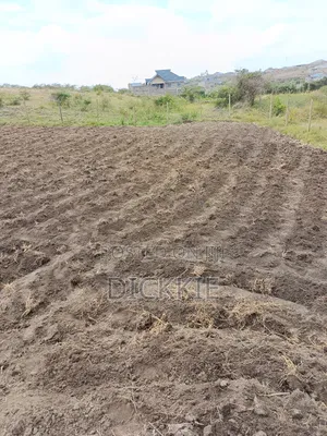 Prime Plots for Sale in Juja