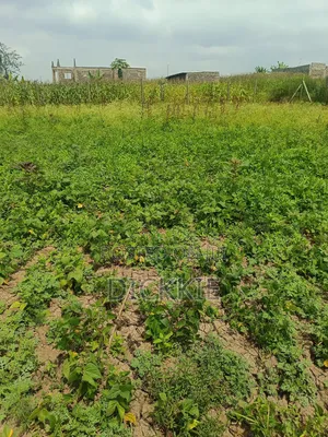 Prime Plots for Sale in Juja